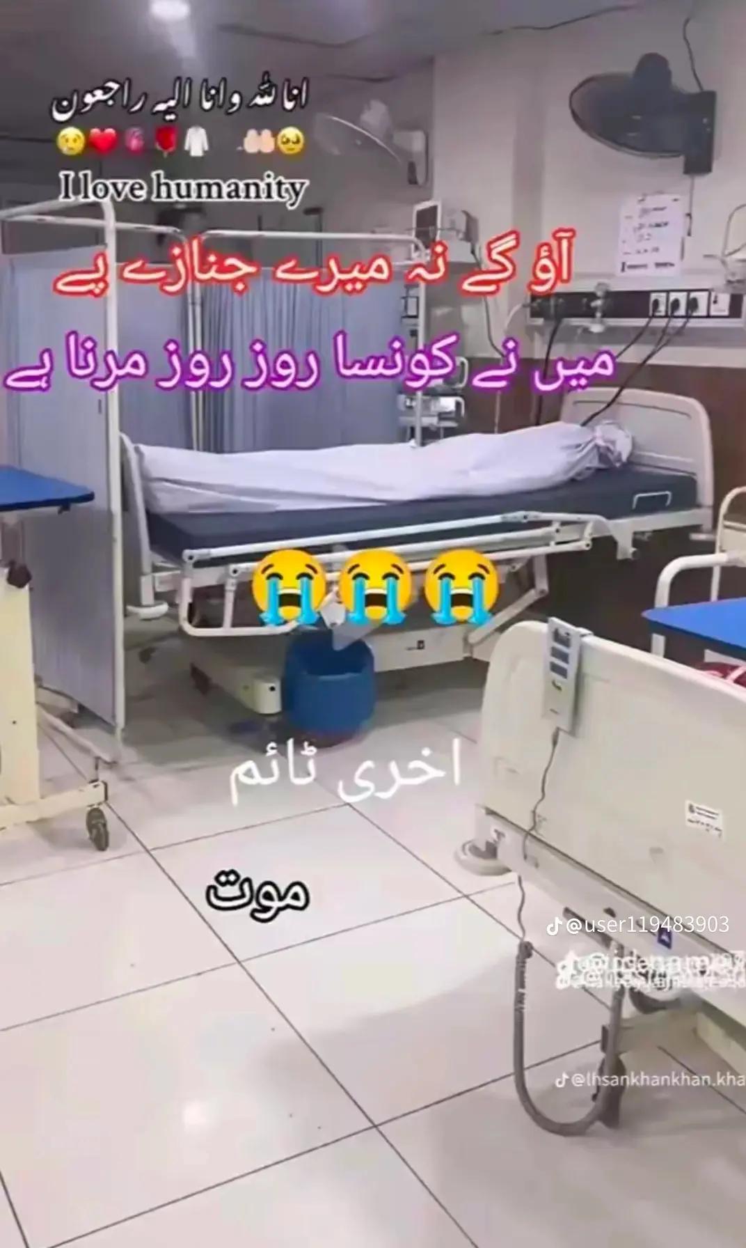 @zakir🐊🎭🦅