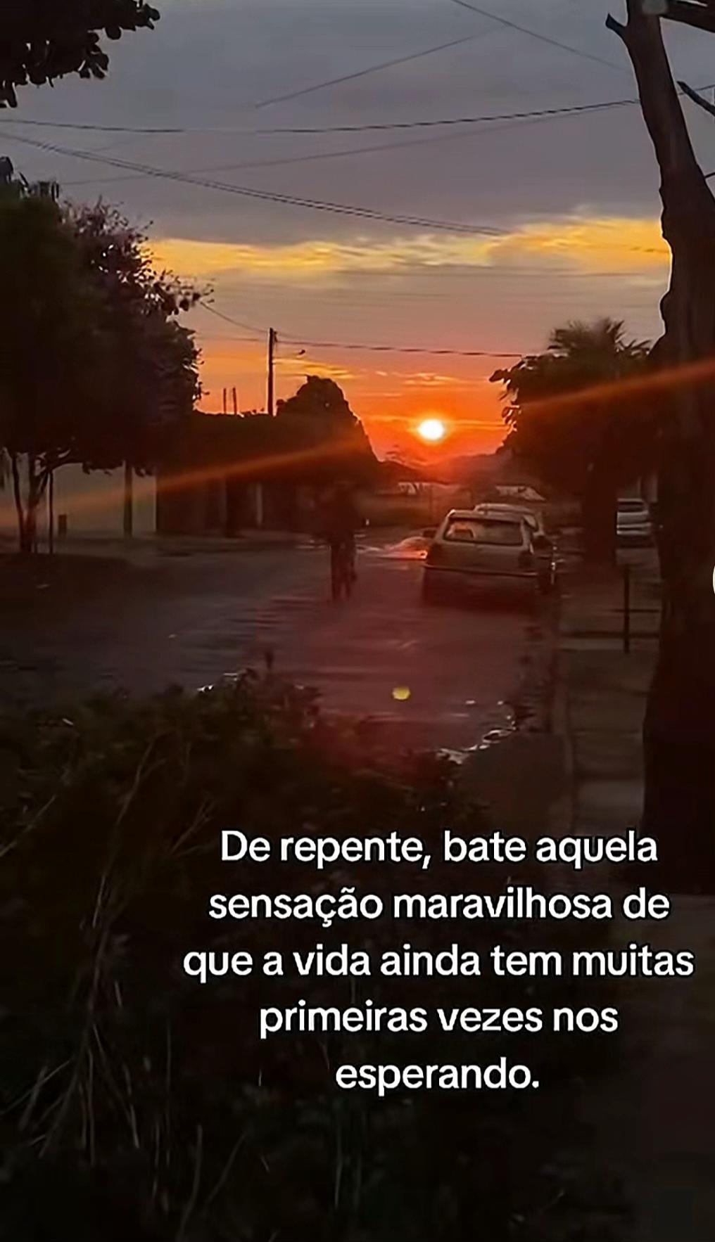 @Tania 1303