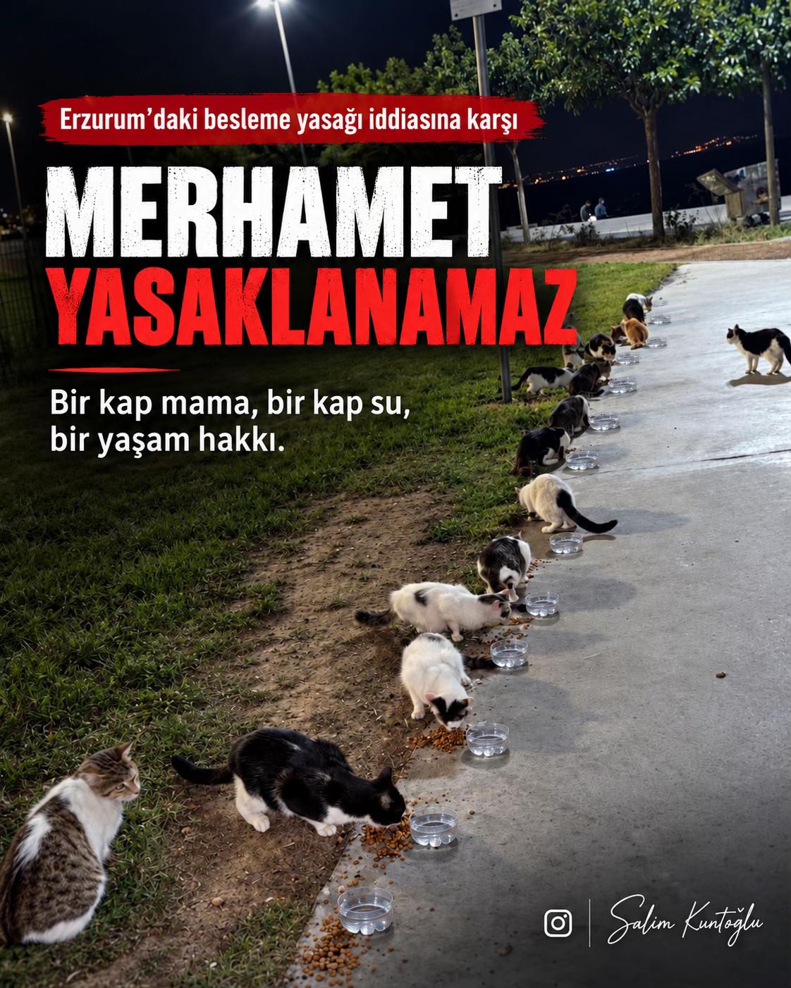 @Salim Kuntoğlu