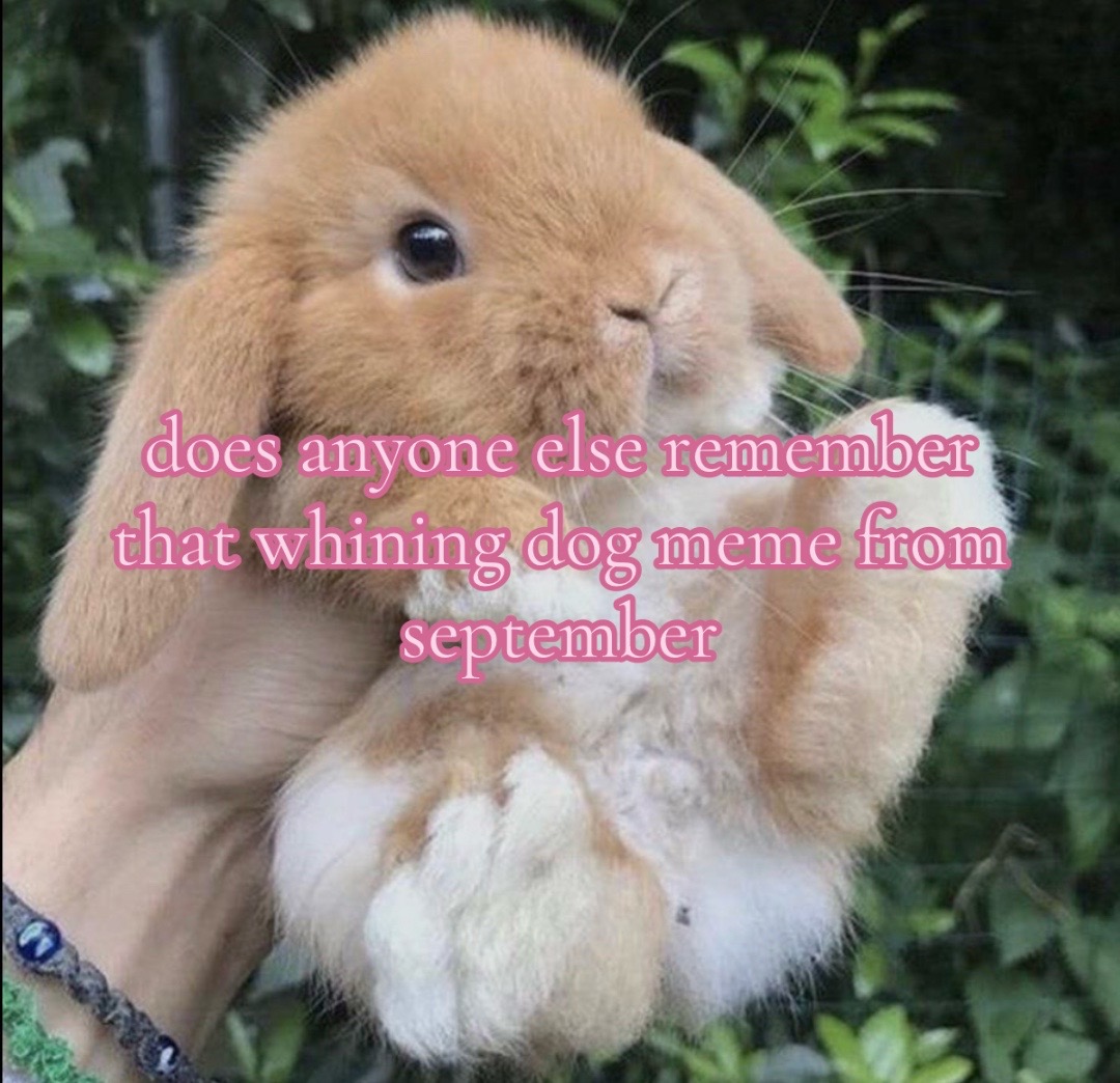 @samson