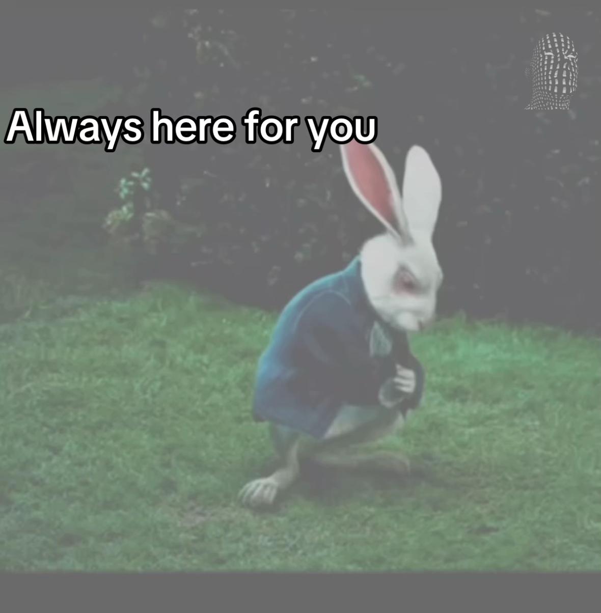 @๐๐๐๐๐๐๐๐๐งโ๏ธ