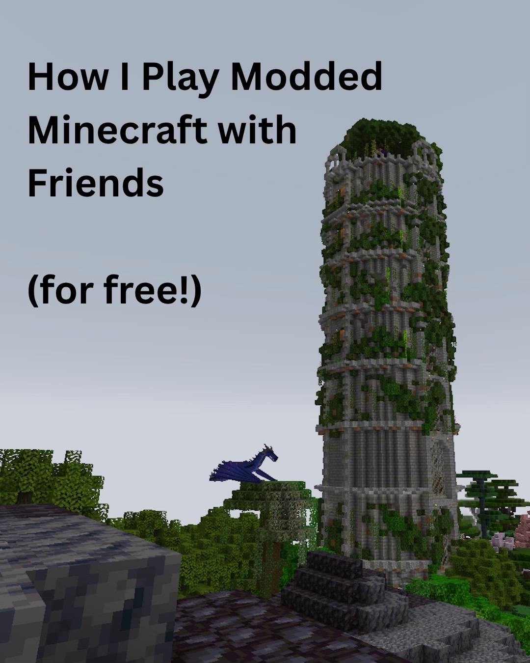 @squidservers