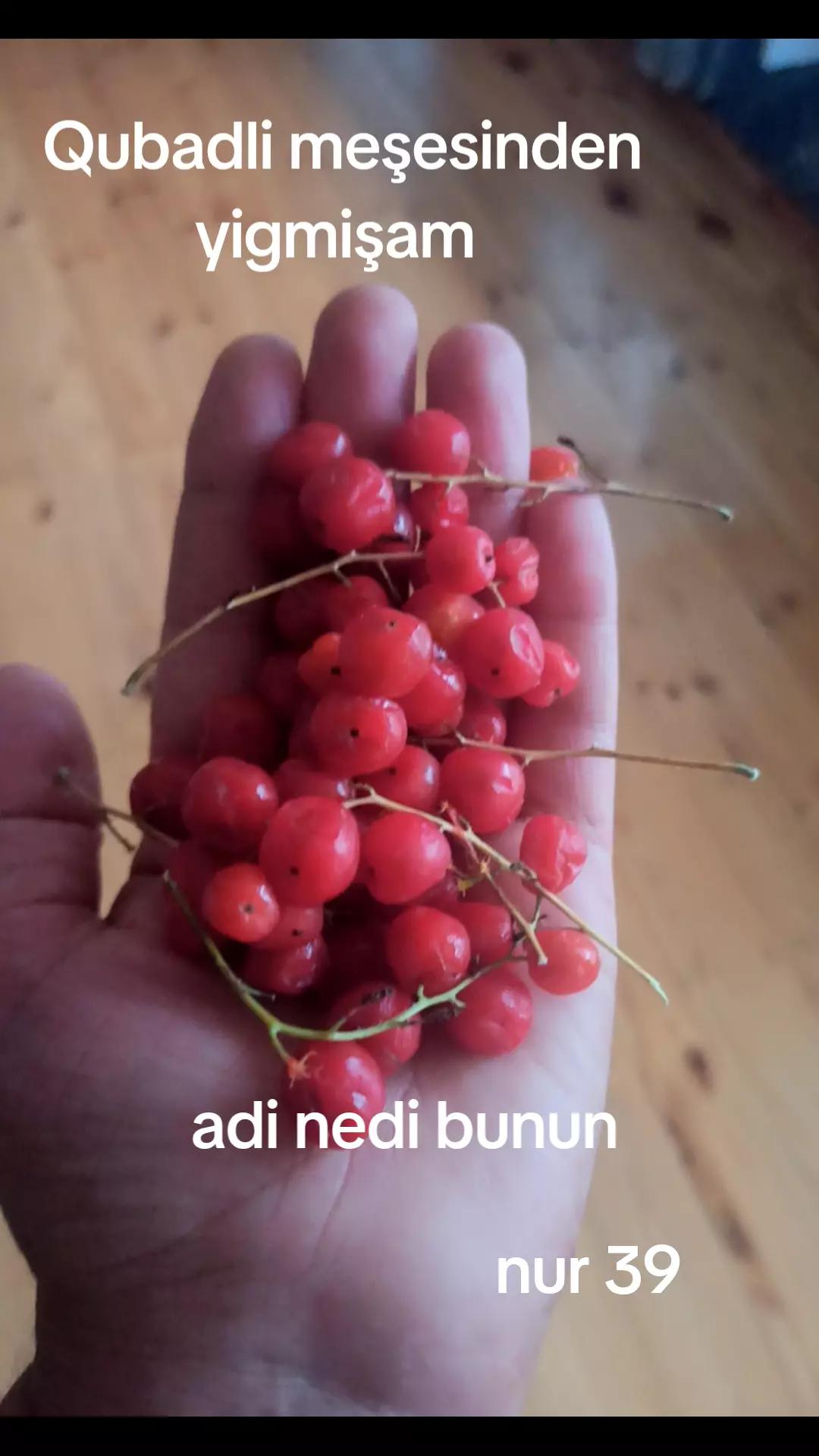 @Qubadlı qəhrəmanlar diyarı