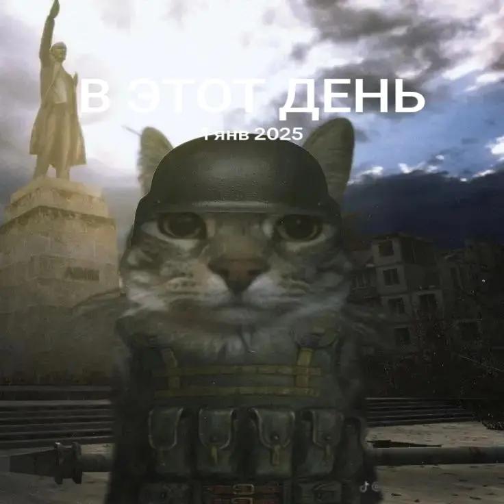@Murzinov