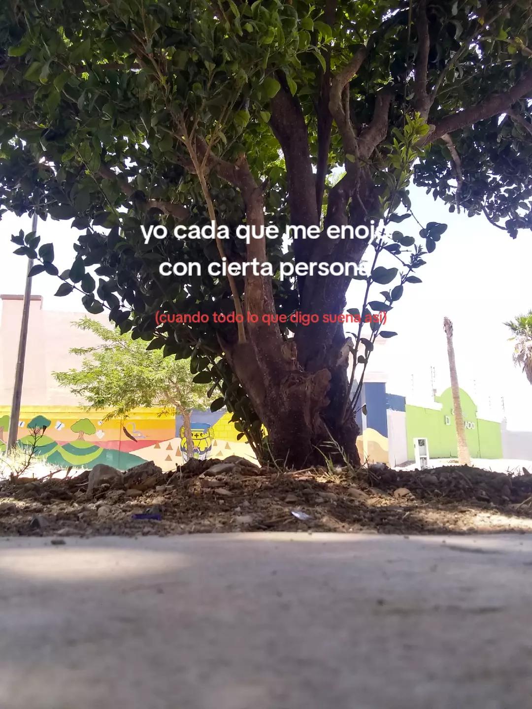 @Wendyes