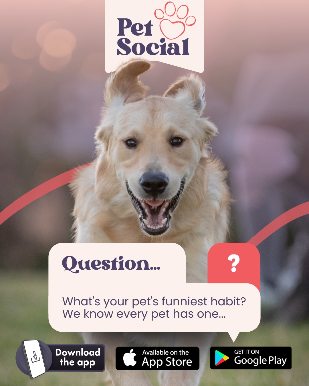 @Pet Social UK