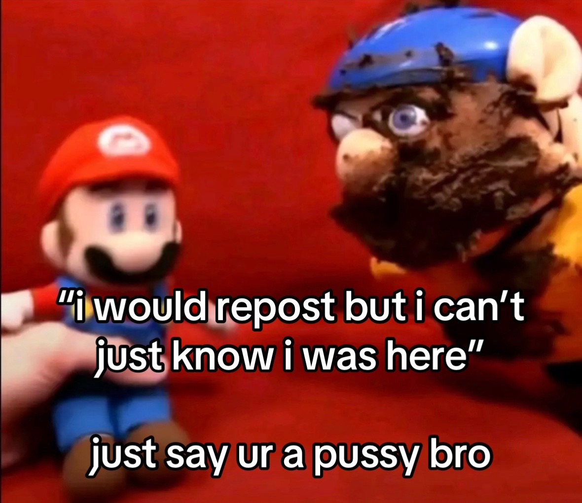 @🦭