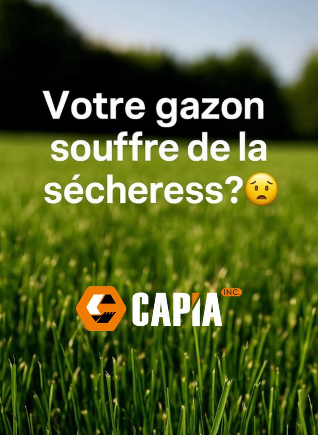 @CAPIA INC.