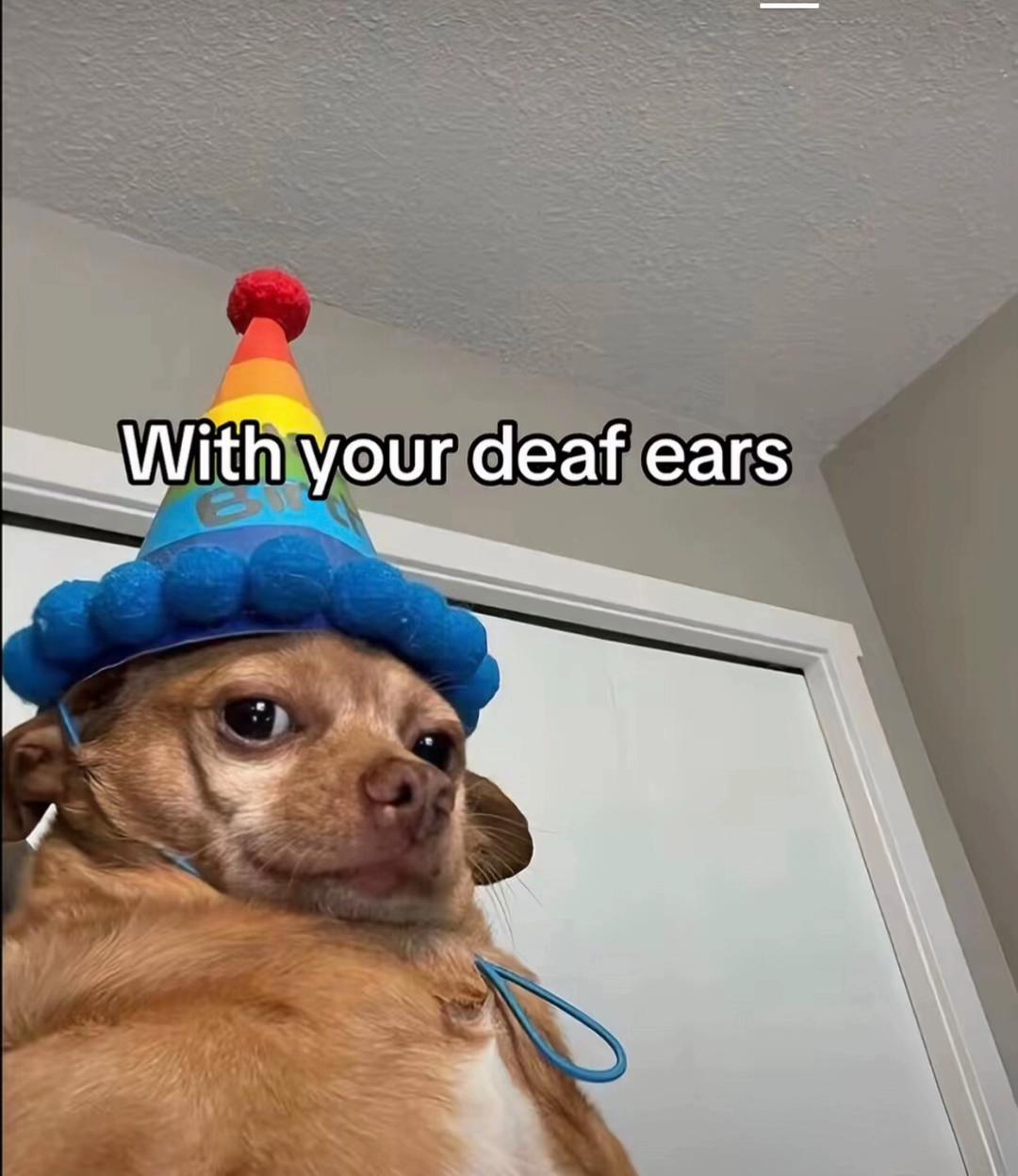 @Warizz
