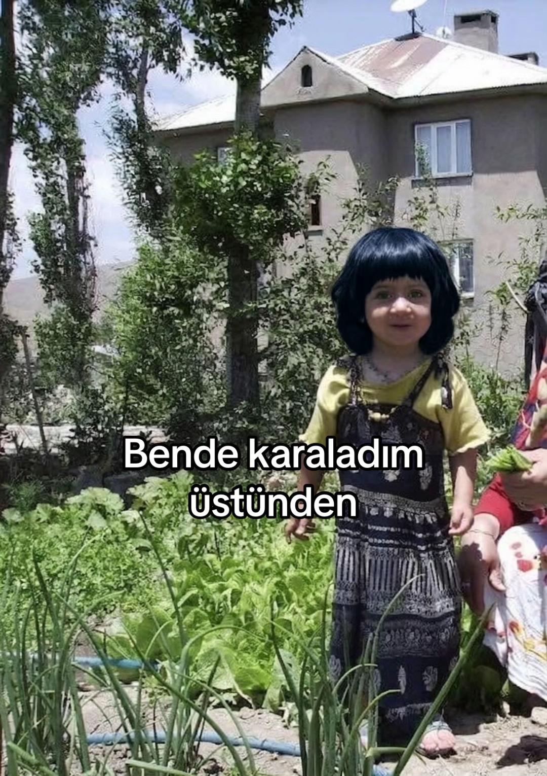 @alenapredki
