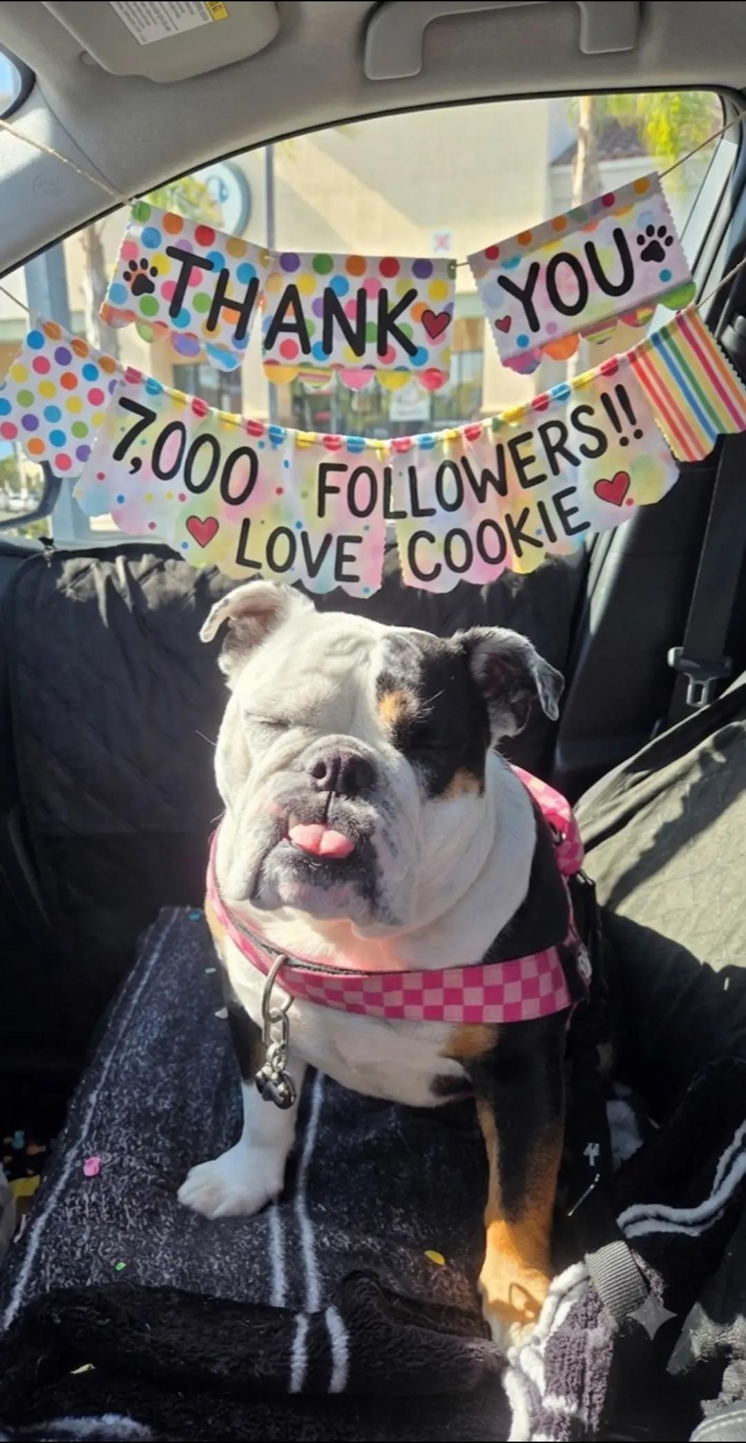 @🩷COOKIE RAMOS🐾🍪