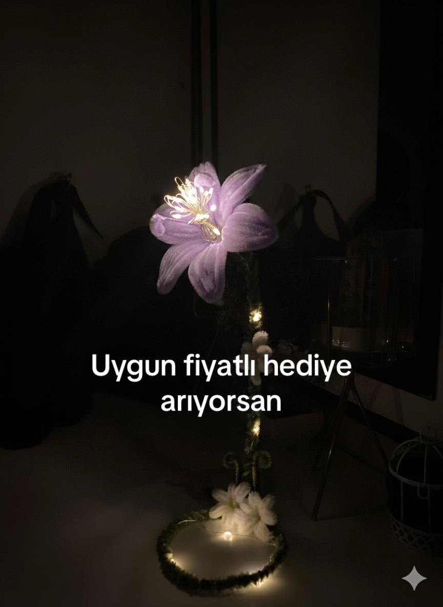 @hiloura
