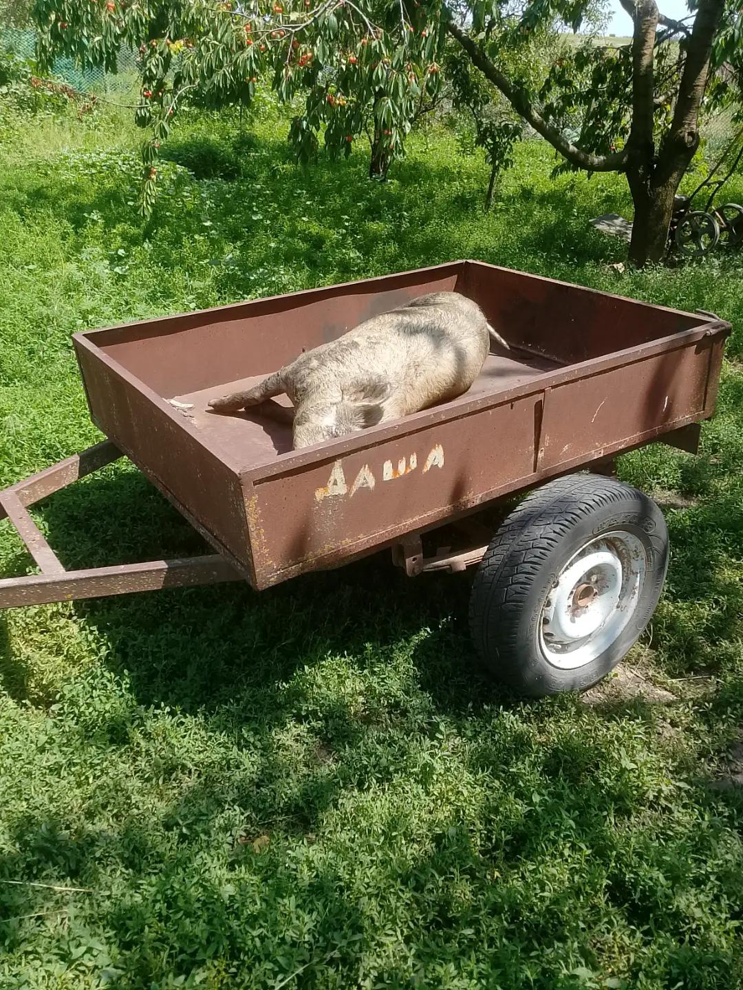 @катятя