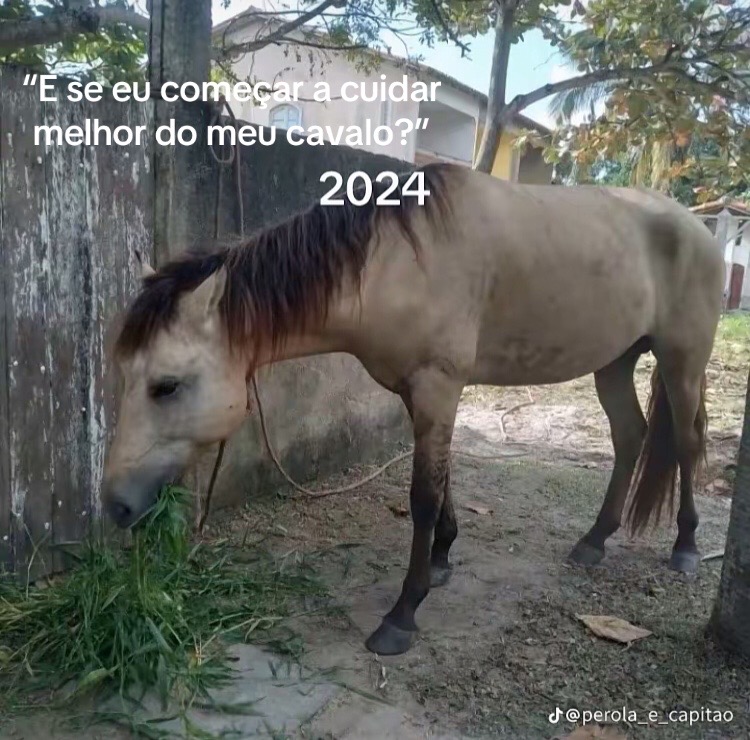 @Pᥱ́r᥆ᥣᥲ ᥱ ᥴᥲ&rho;&iota;tᥲ̃᥆