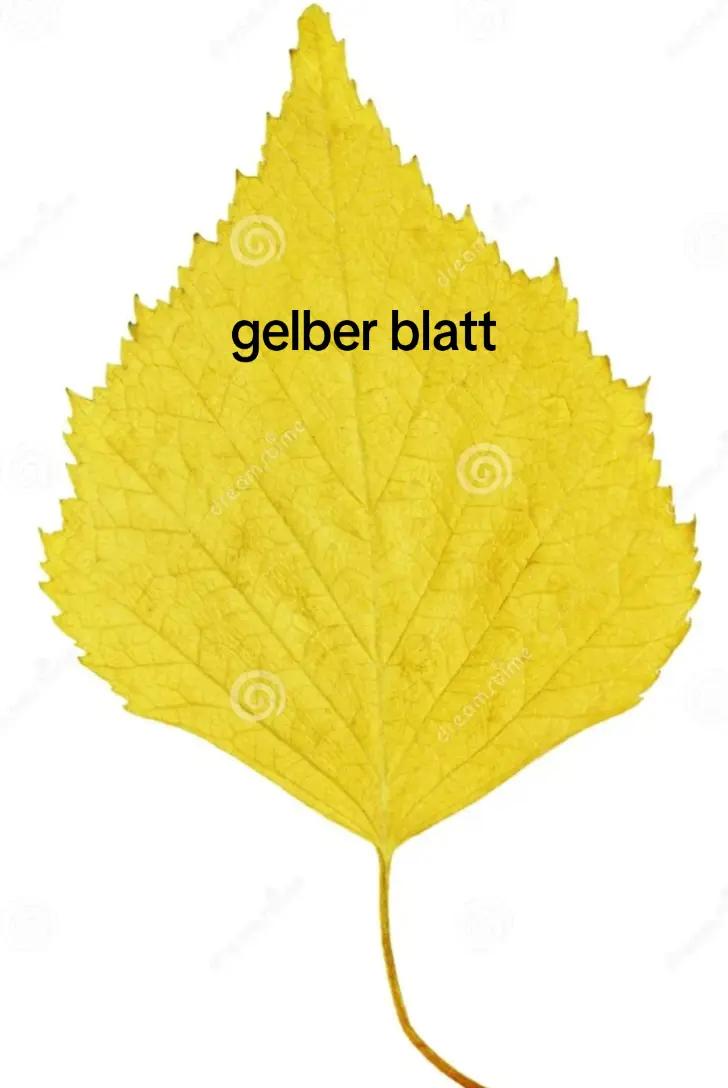 @Cihan63💯🇹🇯🇹🇷