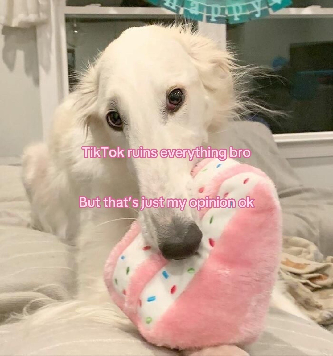 @Biscuit ๐๐๐ง