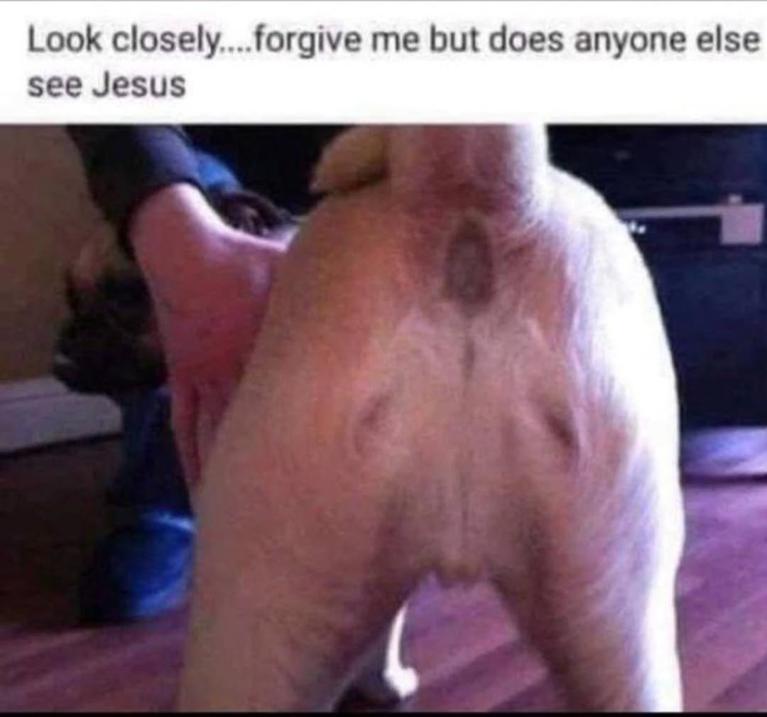 @Dilligaf