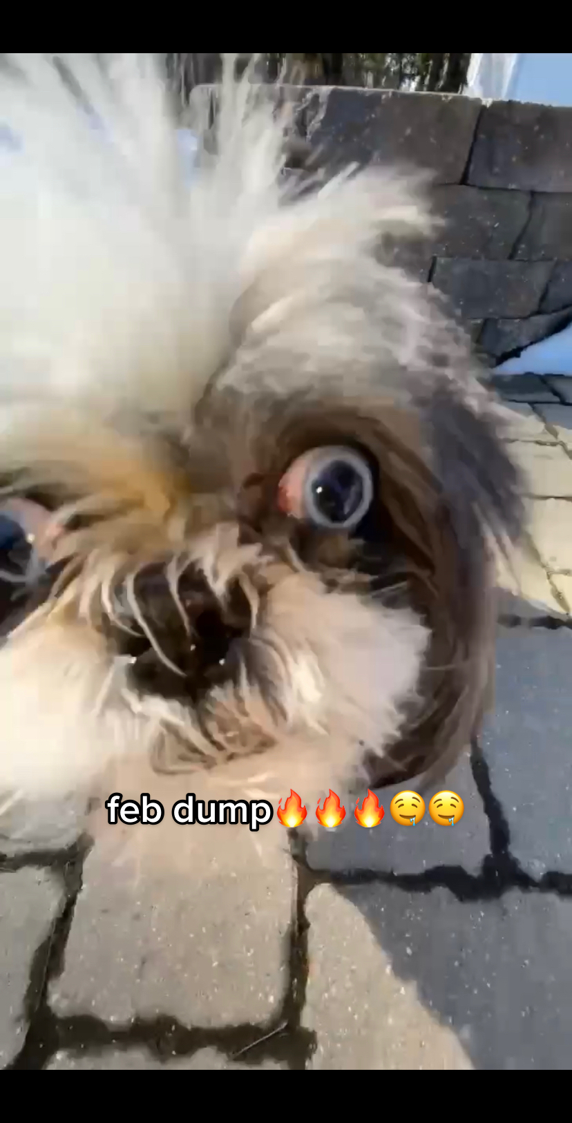 @chicken butt