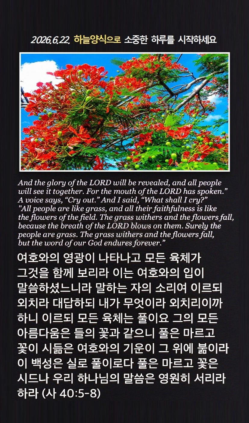 @피켓전도 김종일 목사