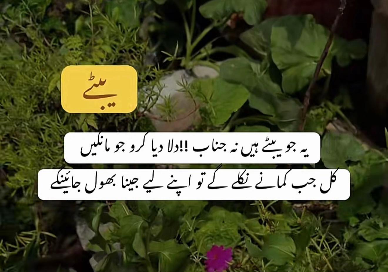 @فیصل کی زوجہ💋🥰❤️