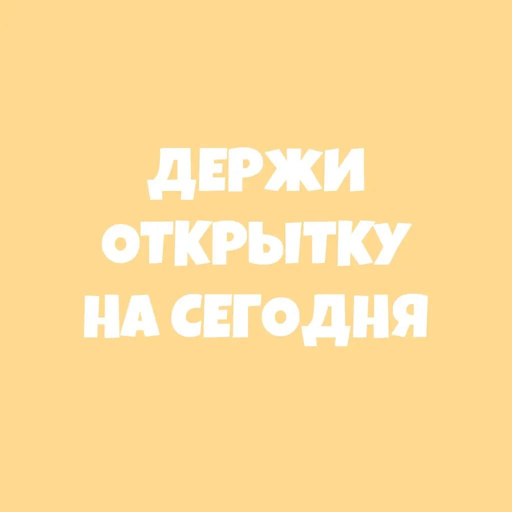 @SHiN_XL🐾