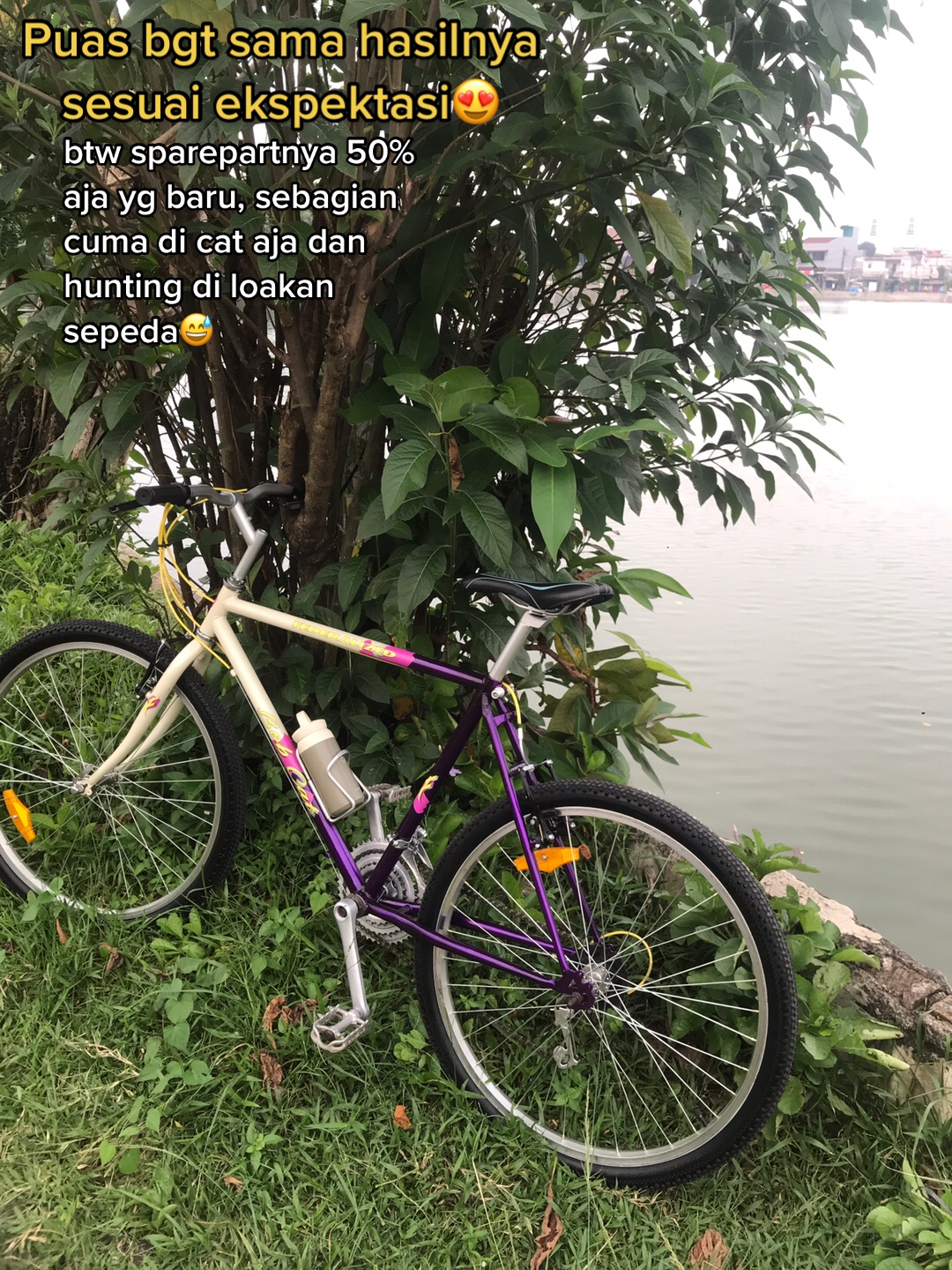 @bajet UMR