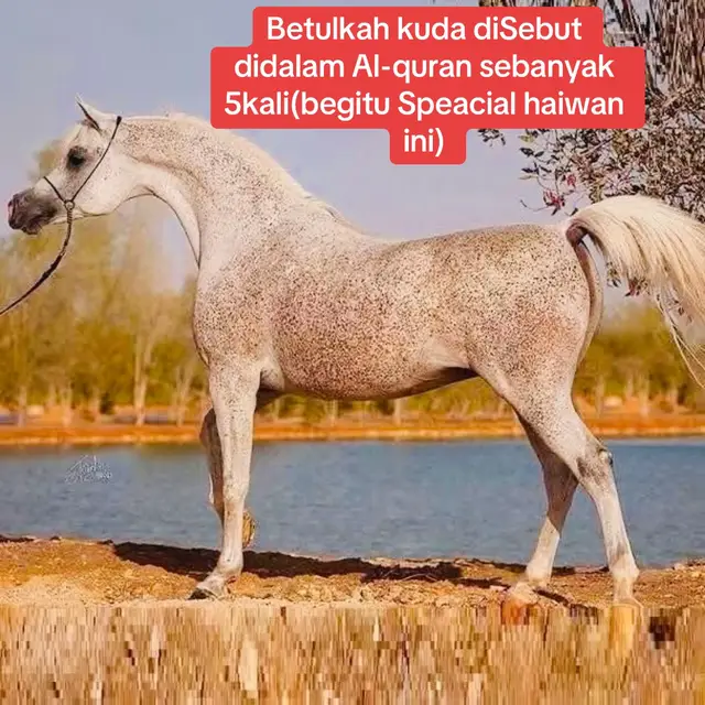 @Subdepo Arabian Park