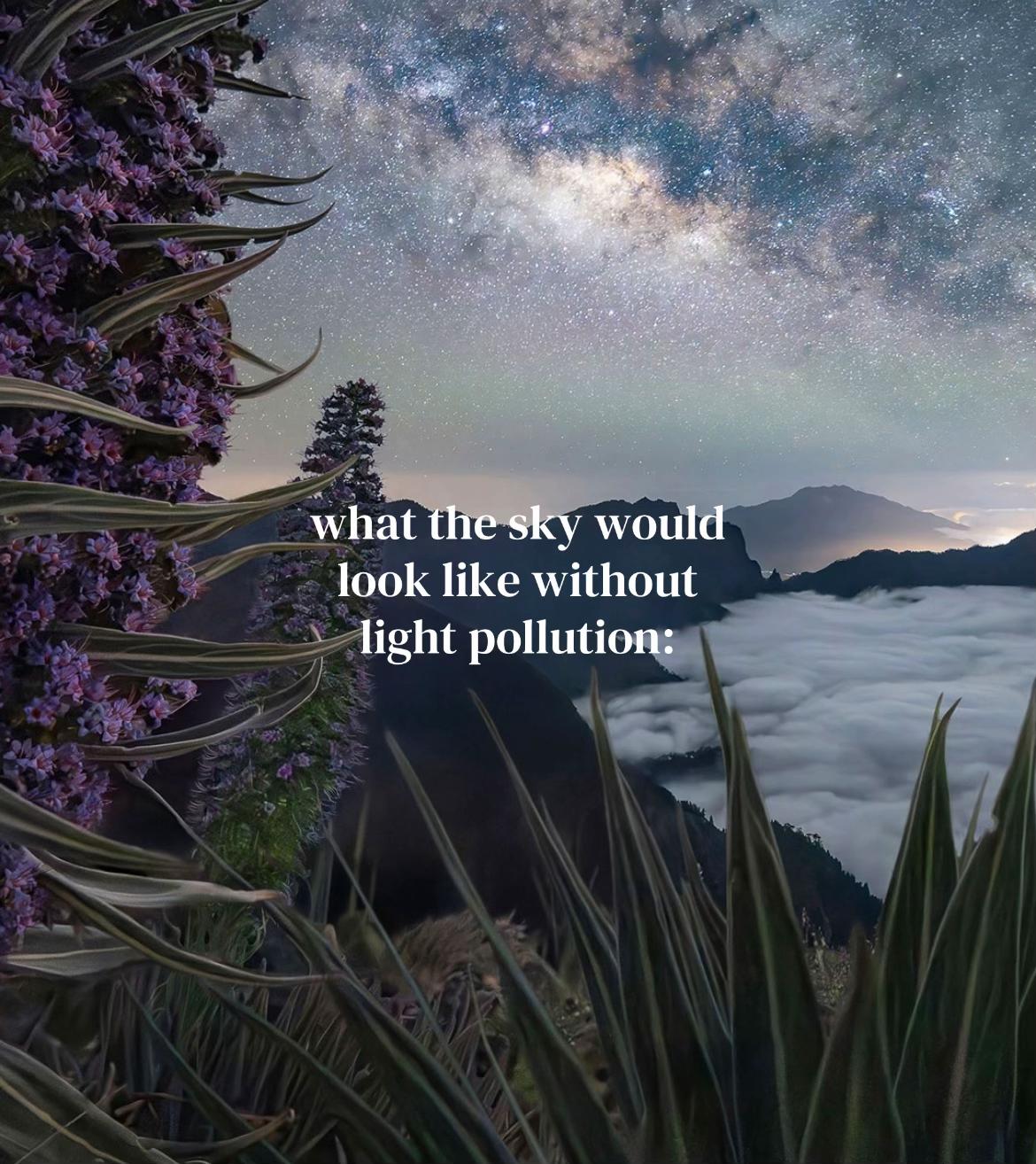 @⋆₊⊹⋆˚★🔭๋࣭ ⋆。˚⭑ ༘.