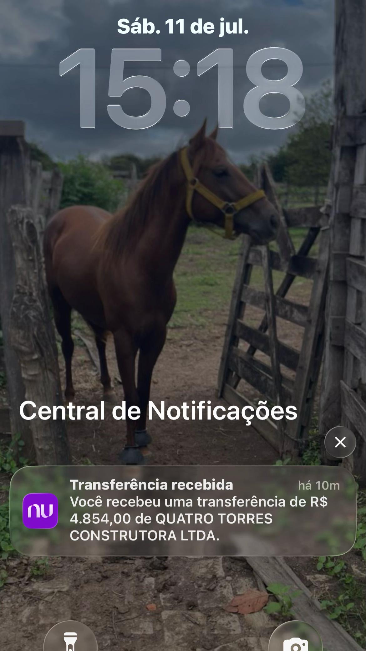 @Loylis Ribeiro