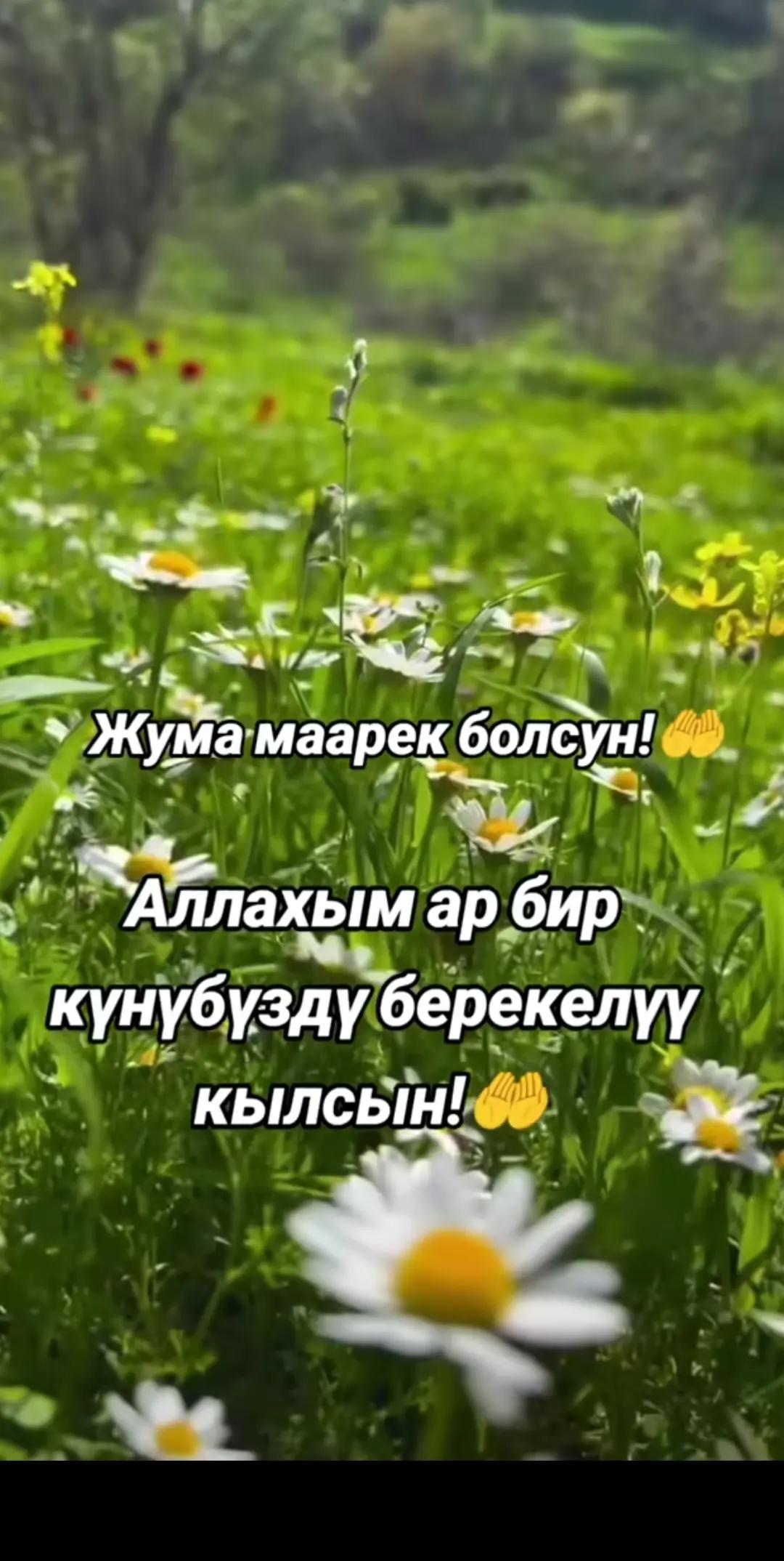 @Kossem