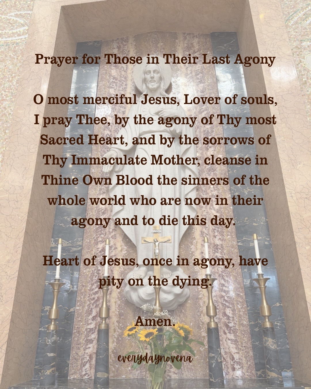 @everydaynovena
