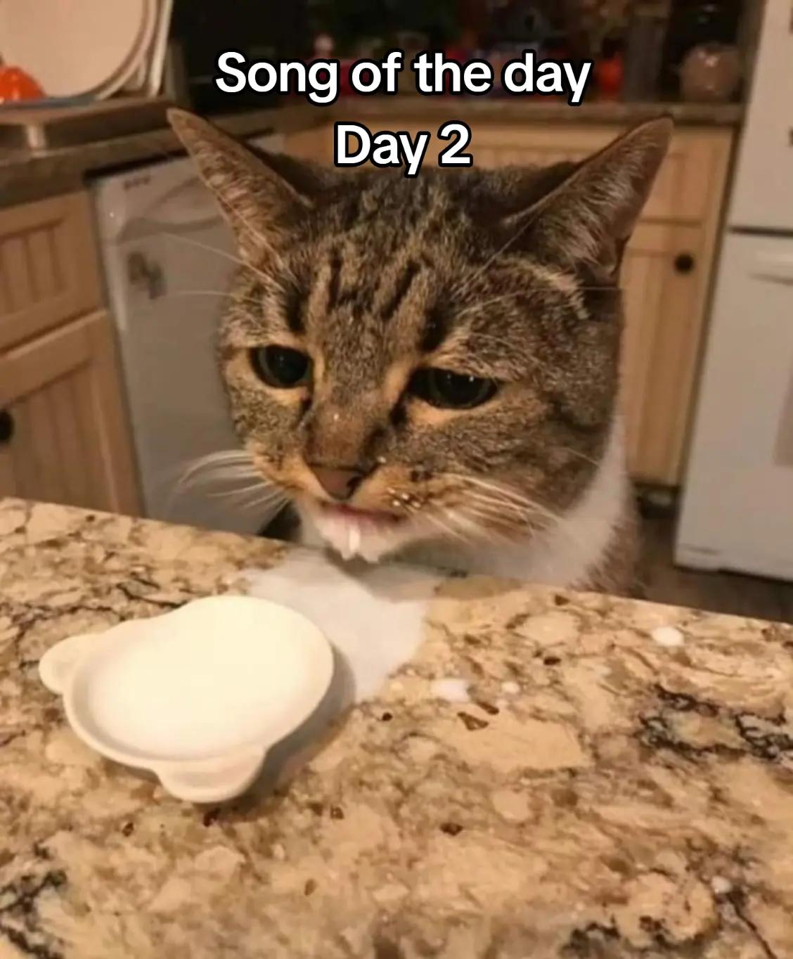 @Twit