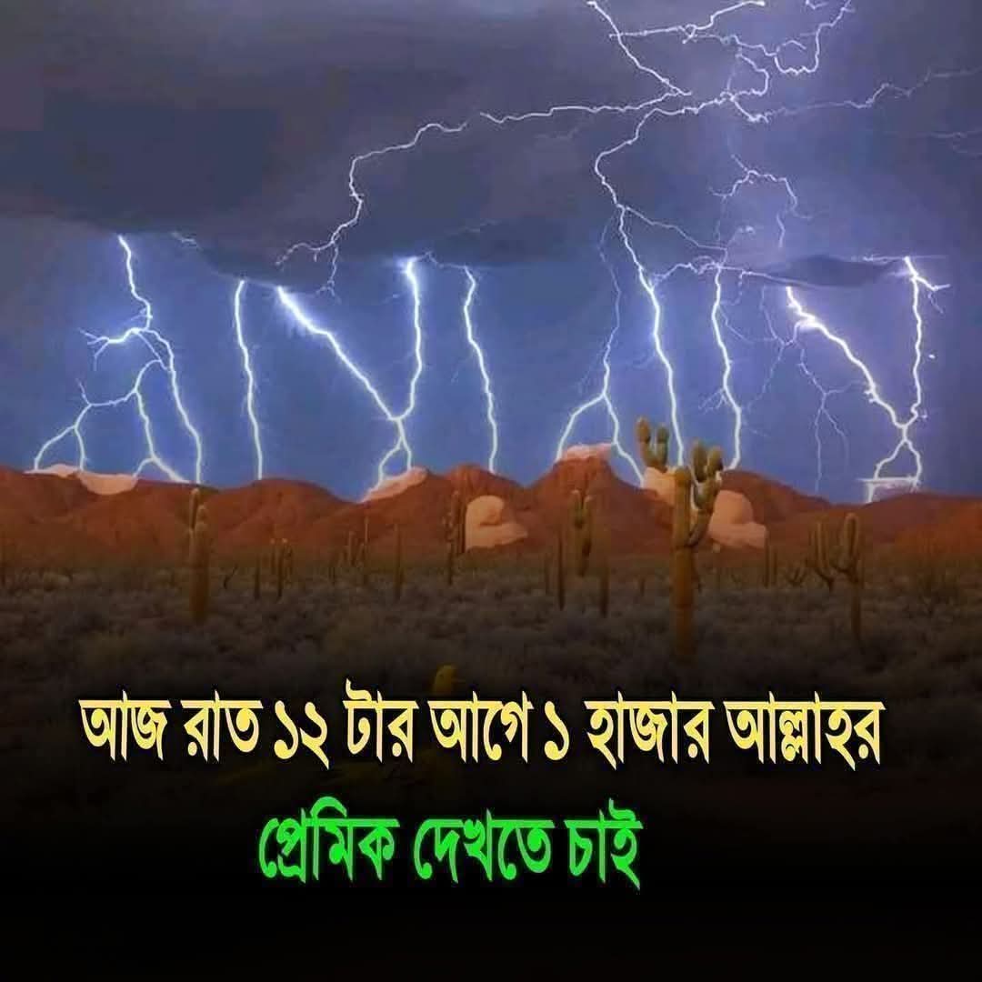 @MD HABIBUR KING đâ ī¸đī¸