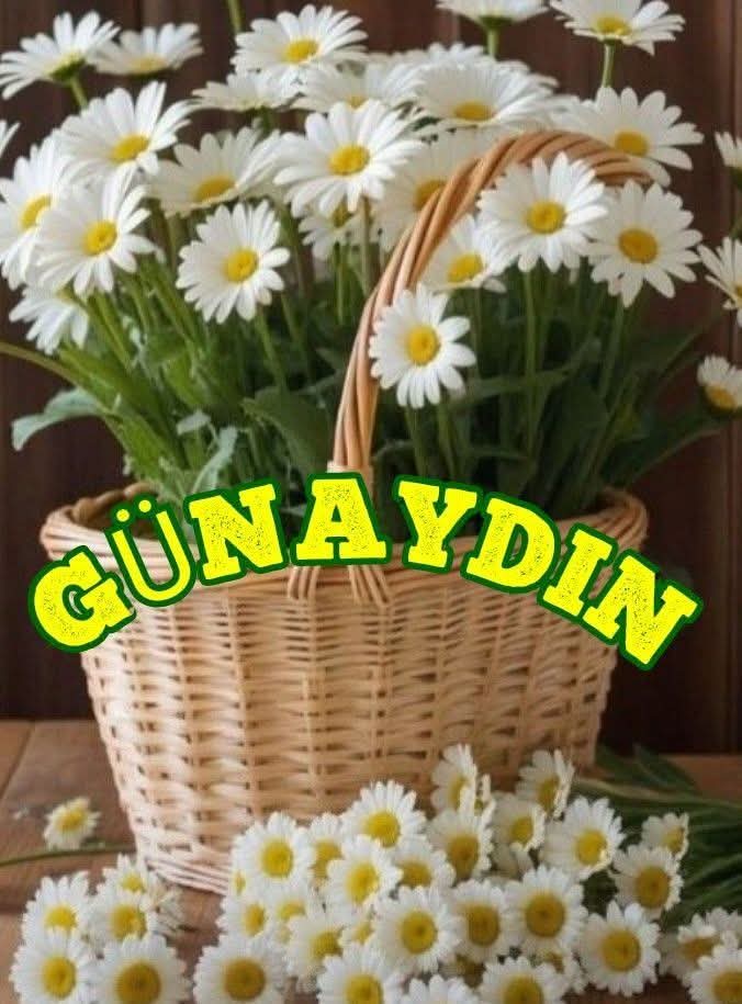 @🇹🇷҉͜͡✭E C R İ N 🇹🇷҉͜͡✭