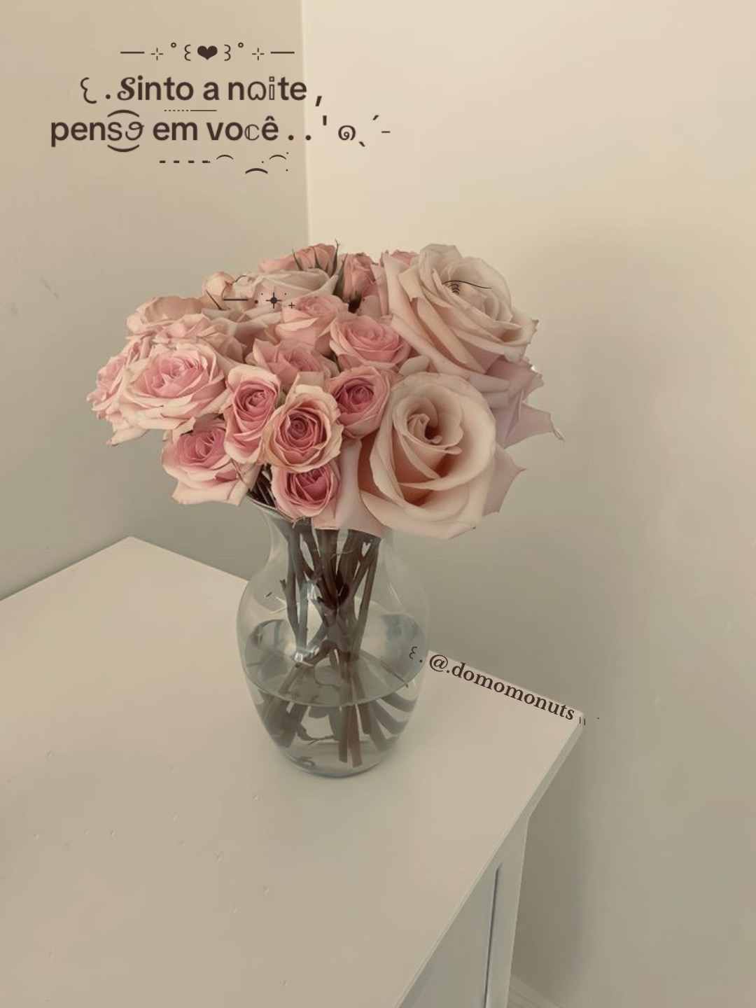 @◟✦ ࣪ꪦ̠͜͜͡͡𐐼ᩚɳ𐐼̫ 🌱 ̨ᩙִ !¡̼