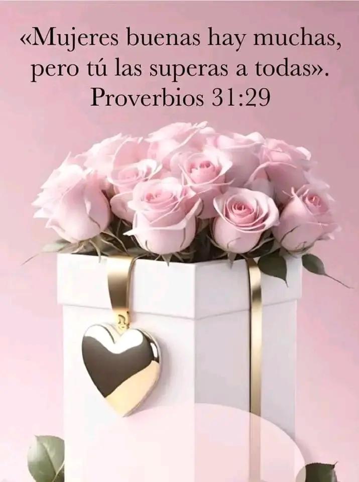 @Mary.S