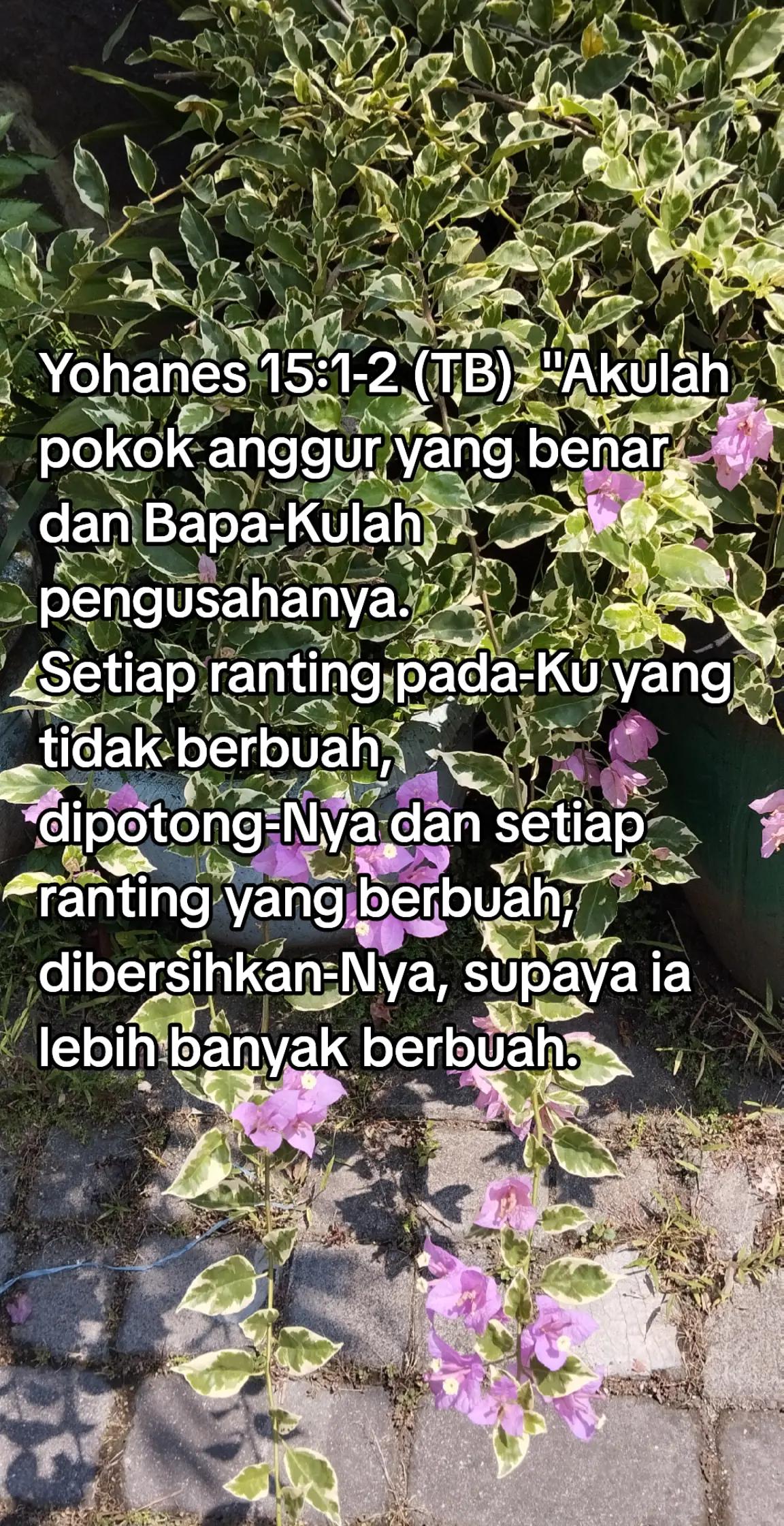 @LIDIA SETYOWATI