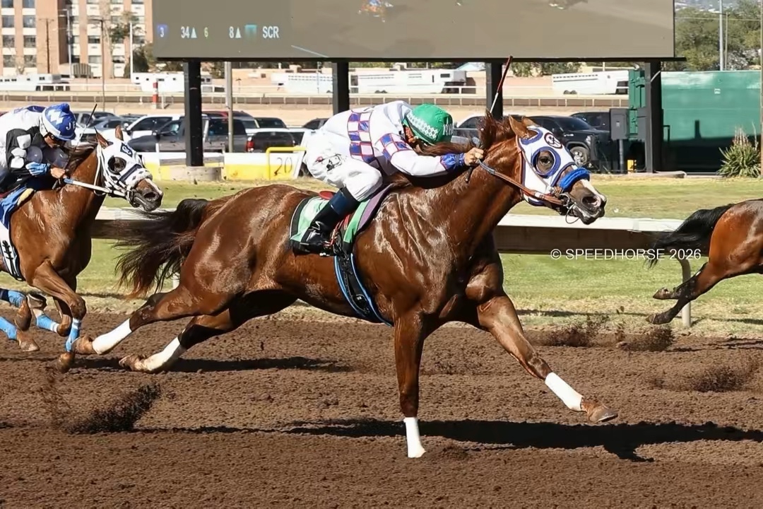 @Colorado Racing 🐎 303