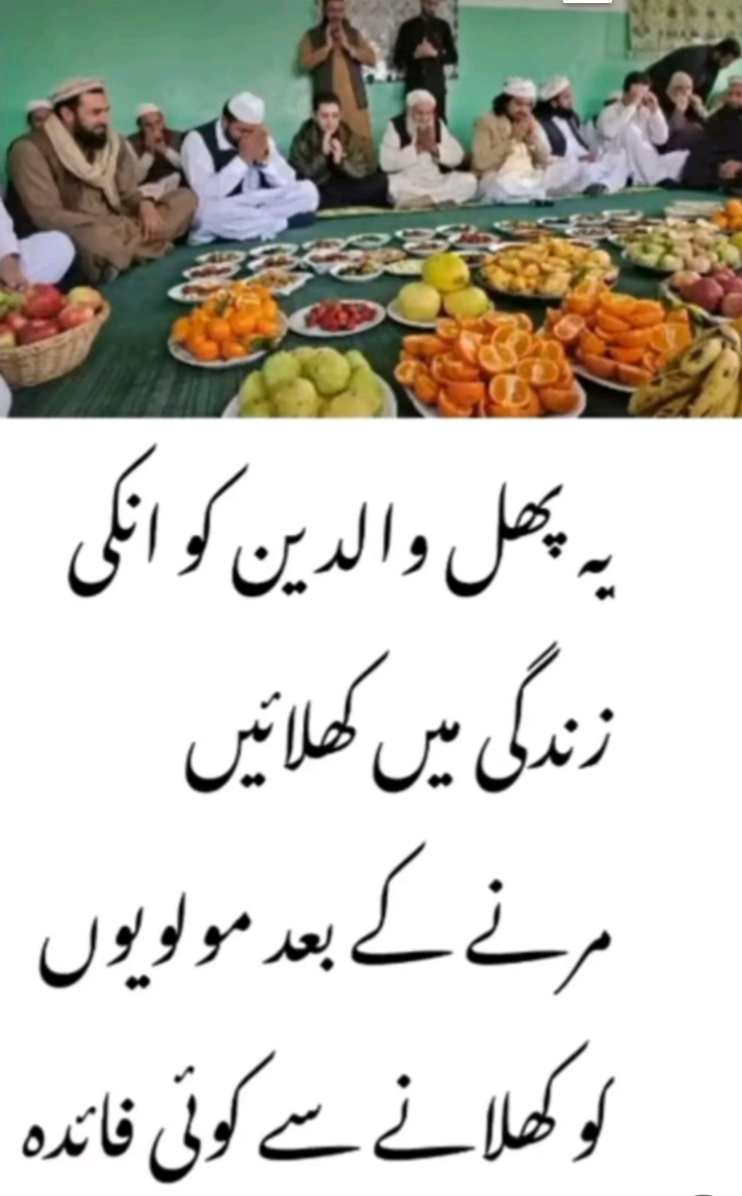 @Ayesha.60