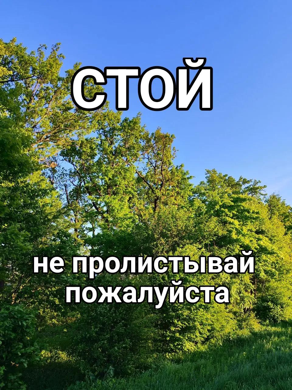 @Brafen@