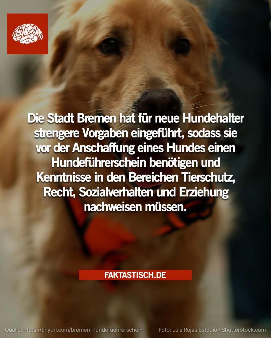 @Faktastisch