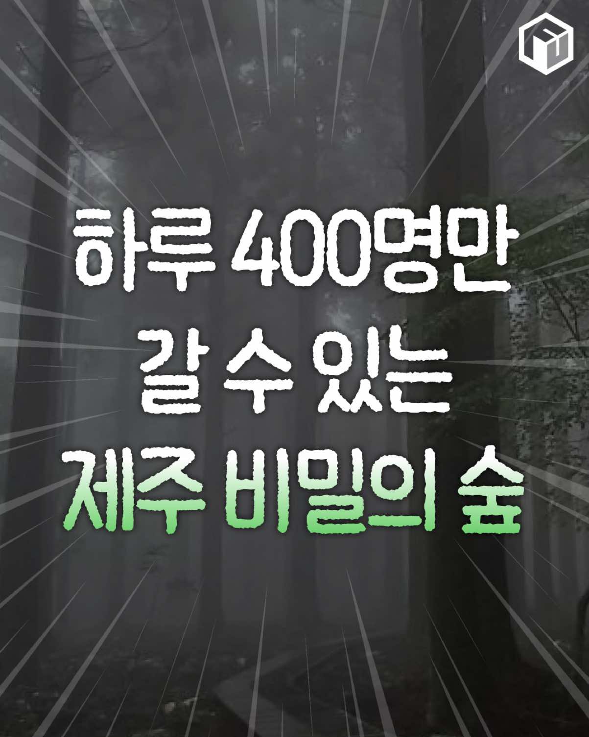 @제주톡톡