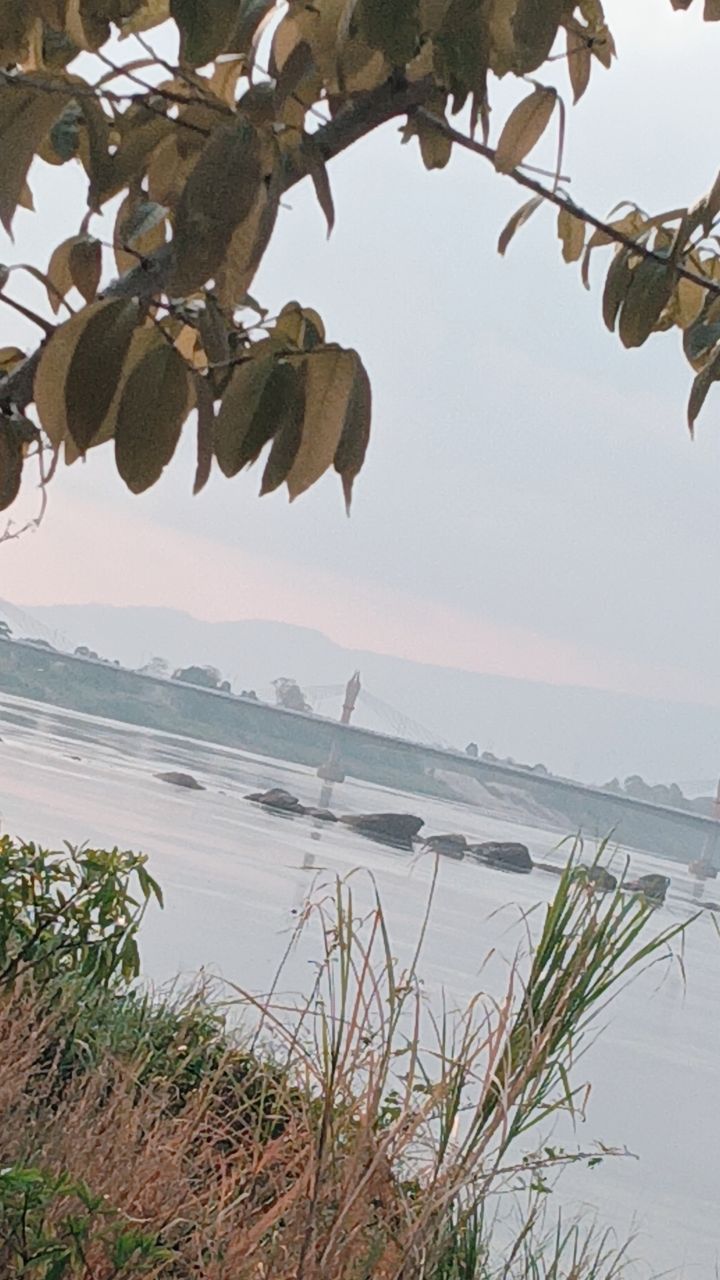 @ดาริณี คลองไชย