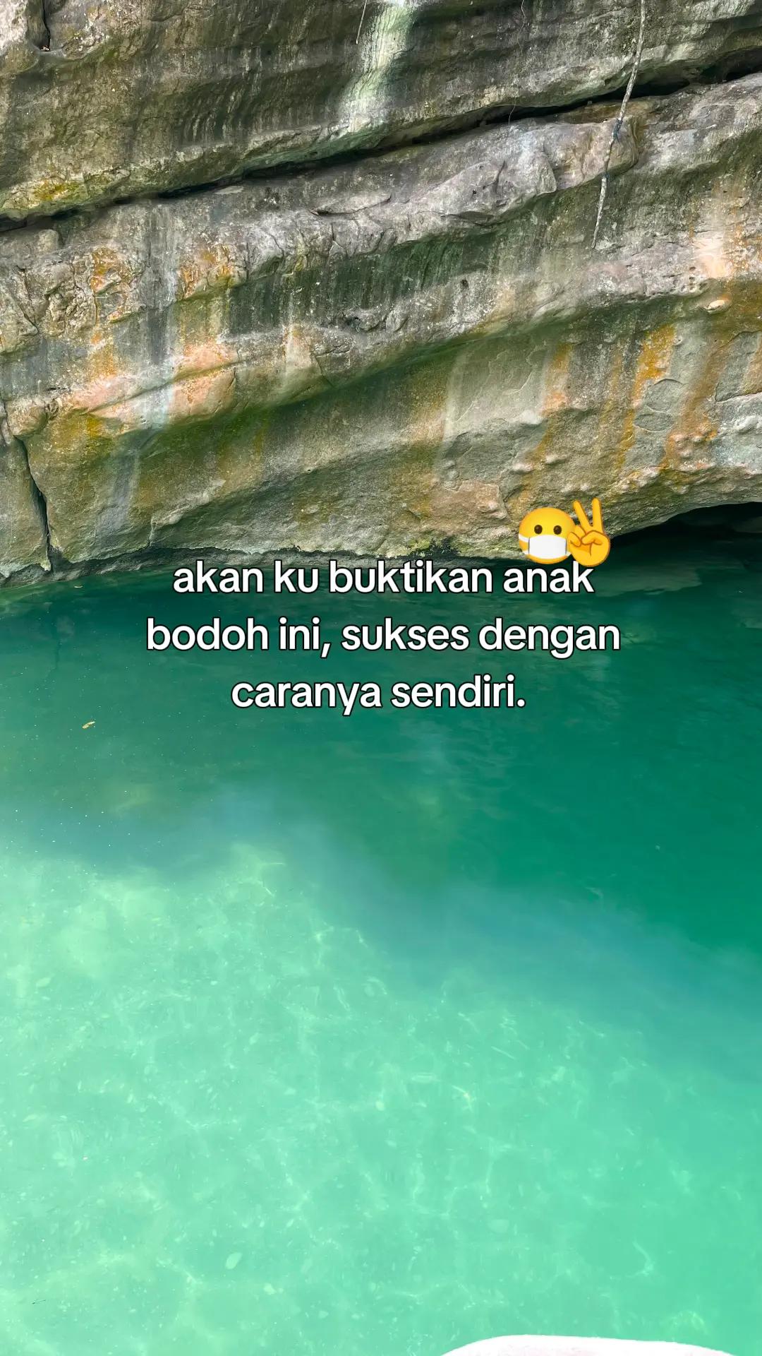 @ZUL_🕸