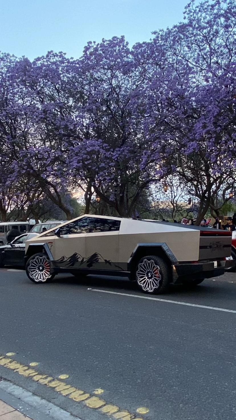 @الجوري🌷