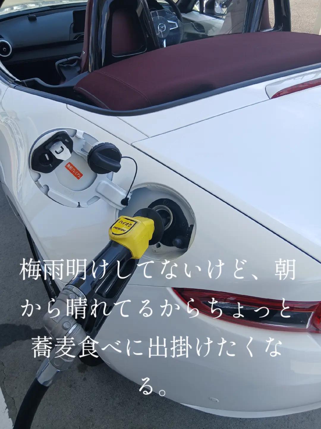 @⚜️🕌⚛️クロッケン⚛️🕌⚜️