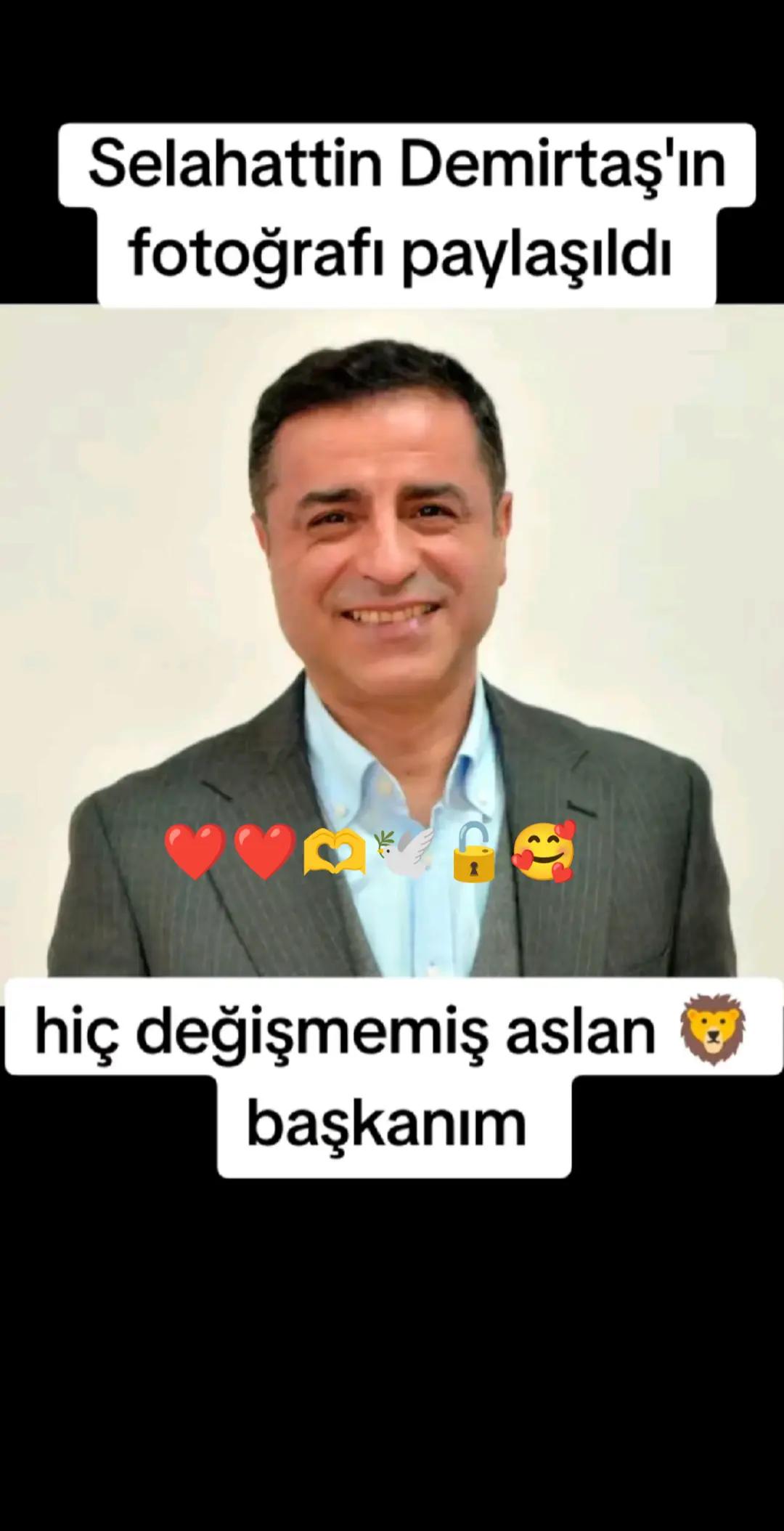 @elfidamm
