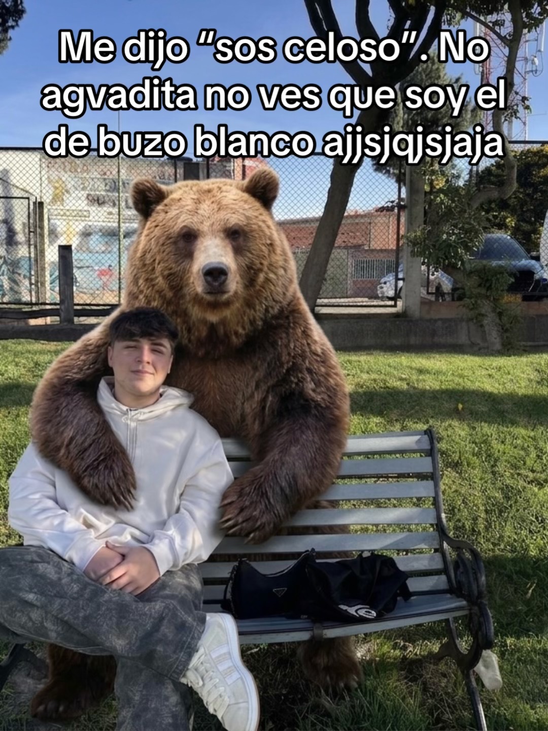 @vacaa_cow