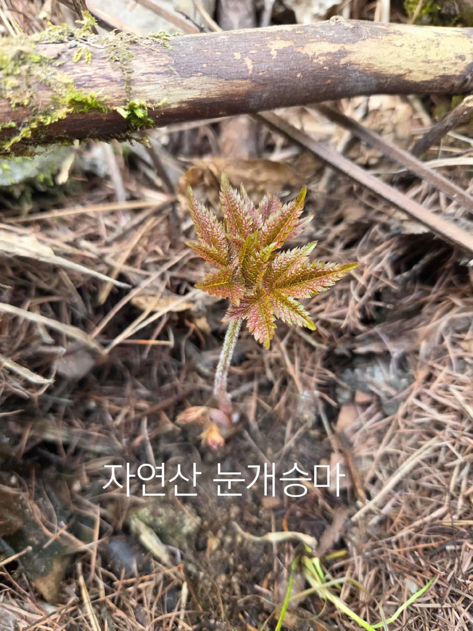 @법무사