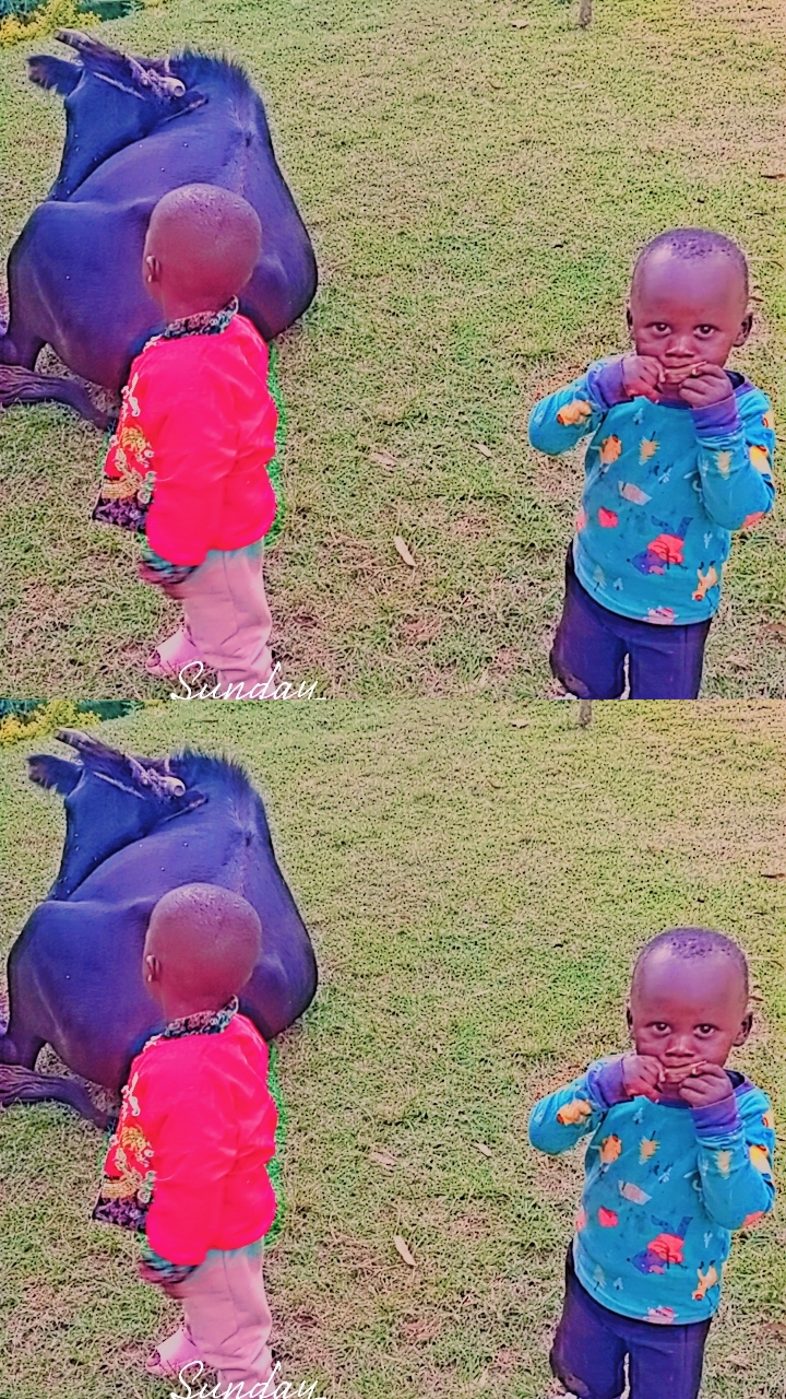 @MAN CHUMBA✅️